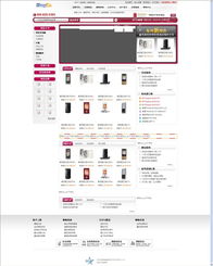 星輝互聯(lián) 打造全國知名的一站式互聯(lián)網(wǎng)服務(wù)解決方案